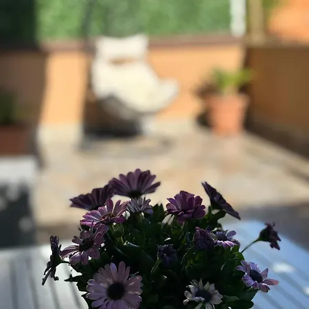 Zefiro Lido di Ostia